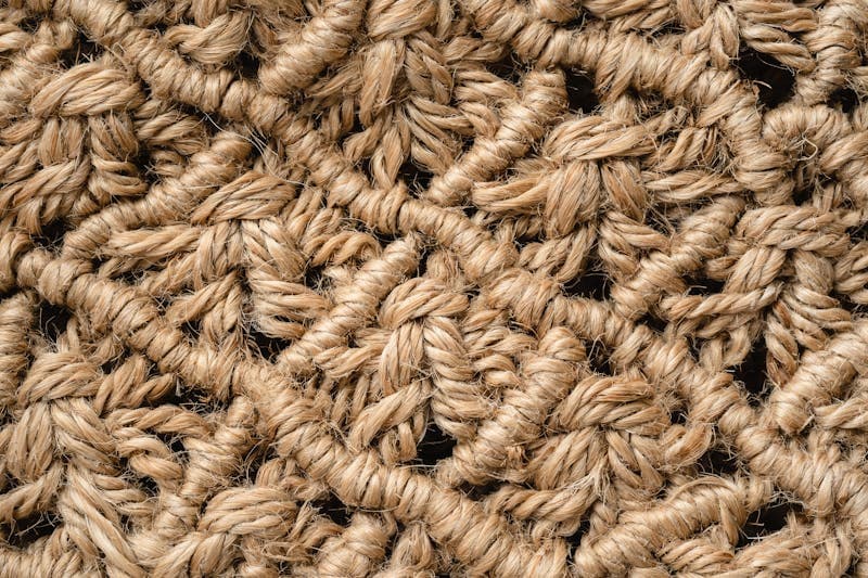 What is Coir Fibre? Properties, Uses & Why It's the Future of Sustainable Materials